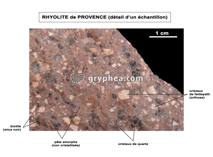 Rhyolite (détail) - vue légendée - gryphea.com